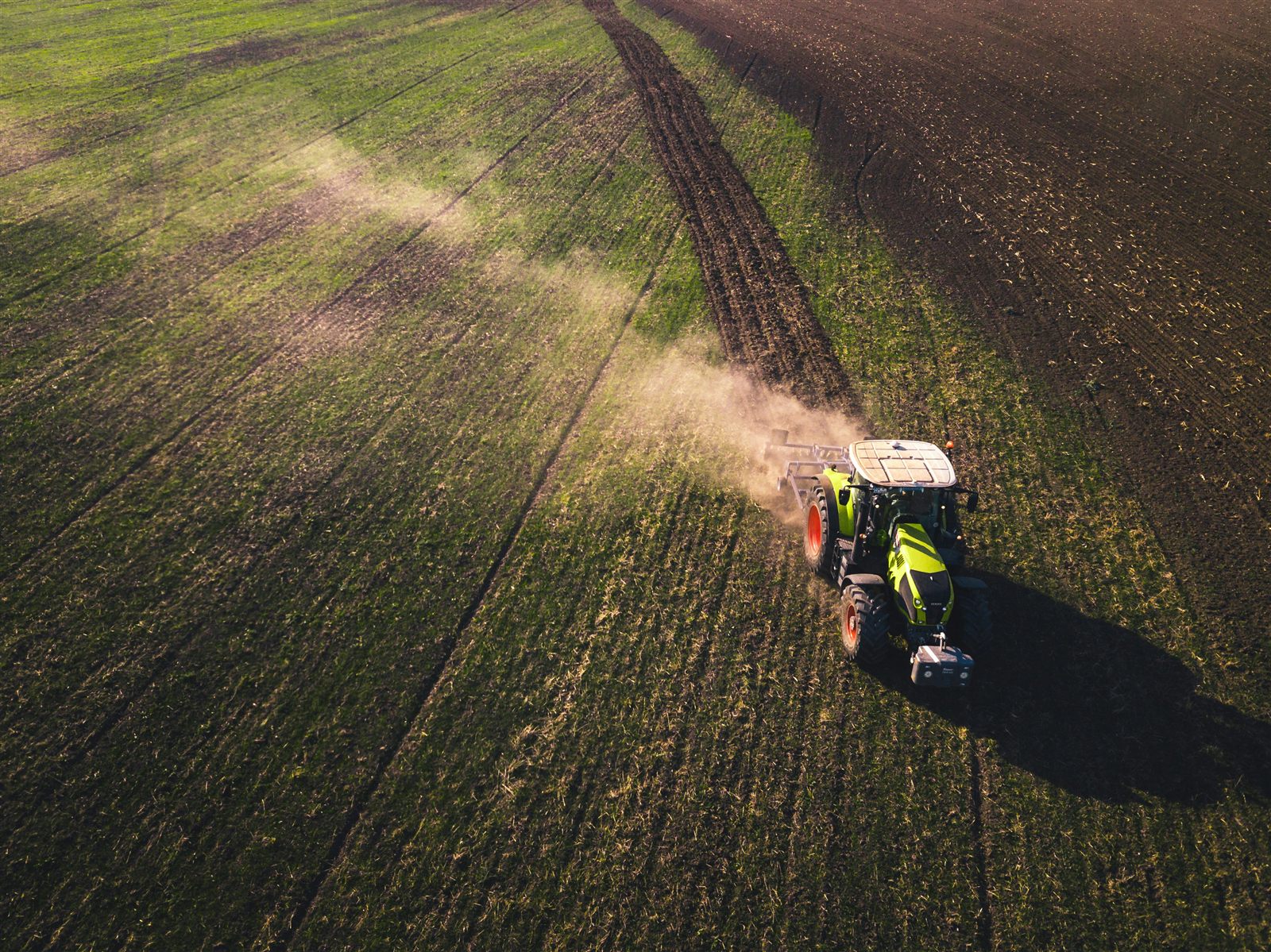 Agriculture & Agri business